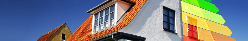 Banner - Mike Timmermann