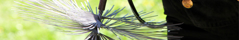 Banner - Mike Timmermann